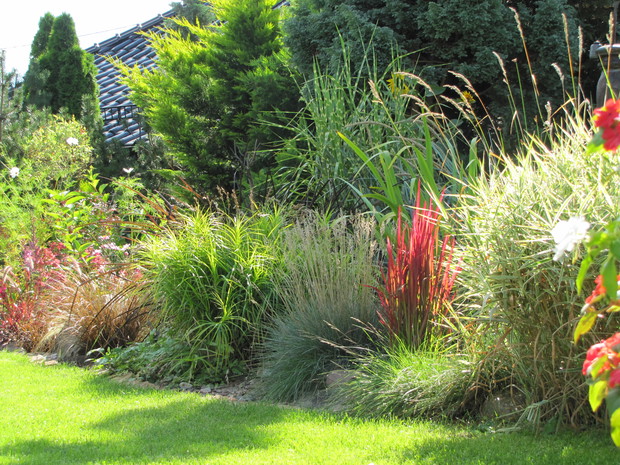 Letnia rabata z trawami