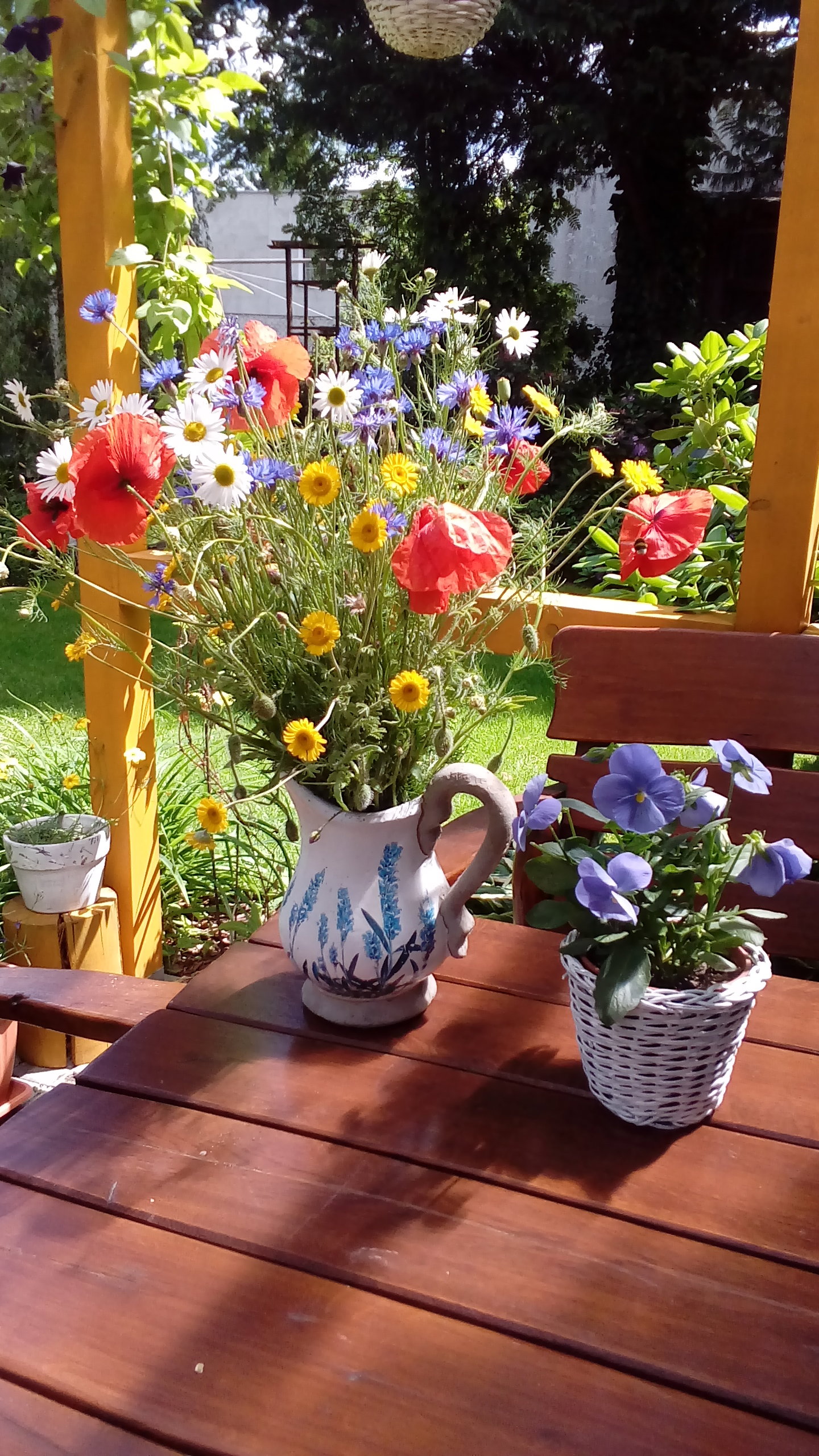 Maki, chabry i rumianki w towarzystwie bratków.