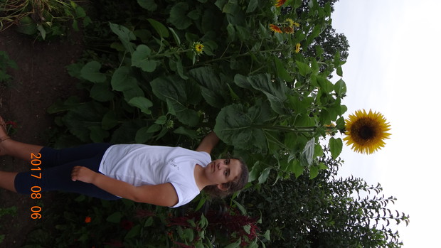 Miał być karłowy :)