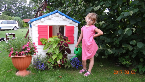 Mój domek i moje rośliny:)