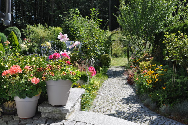 Moja pasja to kwiaty, dużo kwiatów :)