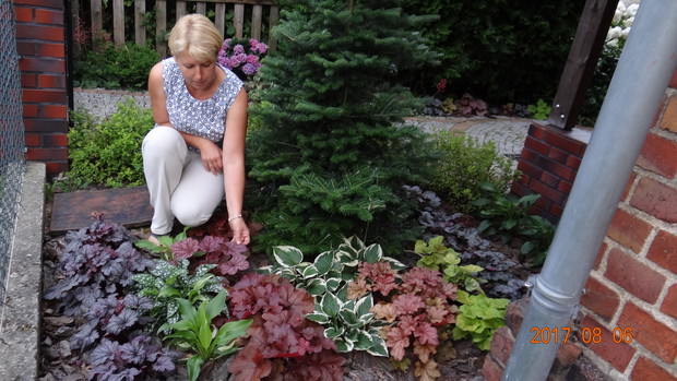 Moje kochane zurawki zdobią zakątek przy wejściu do domu:)