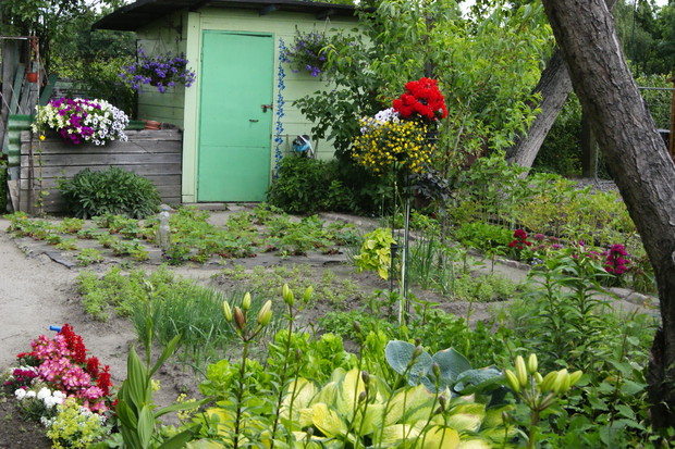 Na działce nie może zabraknąć choćby małego warzywnika, oraz truskawek.