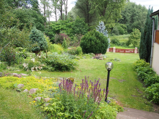 Na szczycie pagórka altana, a z niej taki widok w kierunku drogi, interesujący o każdej porze roku, dzięki licznym roślinom zimozielonym.