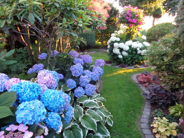 Nie sposób opisać każdego zakątka zdjęcia lepiej to oddają.