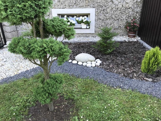 niedawno posadzone drzewka przed domem