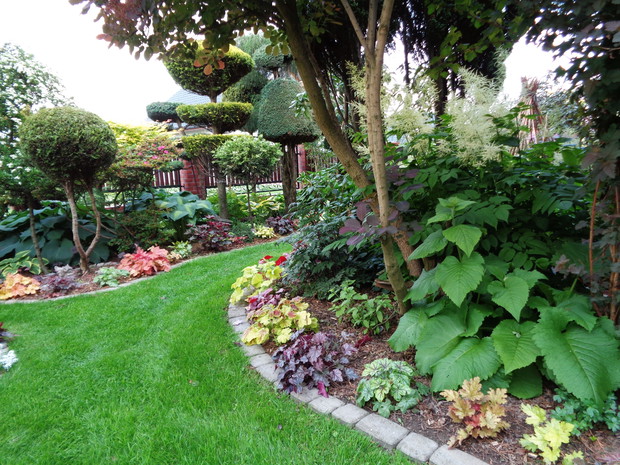 Obżeża obsadzam moimi zurawkami.