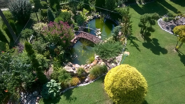 oczko wodne - widok z balkonu