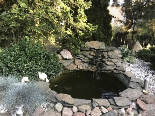 oczko wodne z małym, ogrodowym wodospadem.