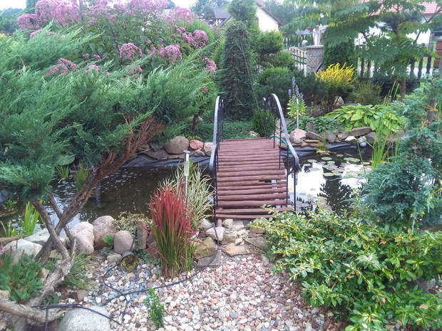 oczko wodne z mostkiem