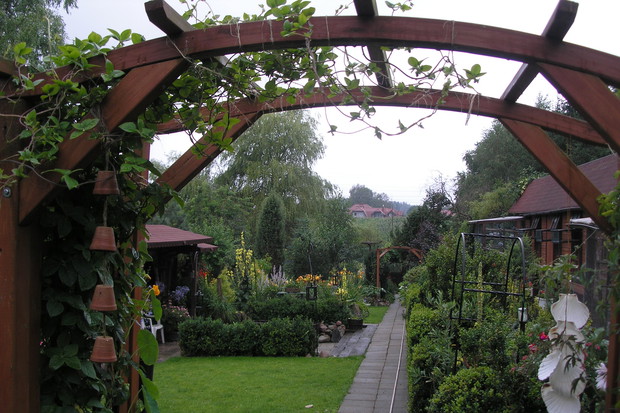 Ogólny widok ogrodu - 1