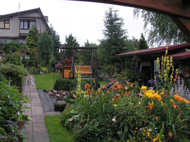 Ogólny widok ogrodu - 2