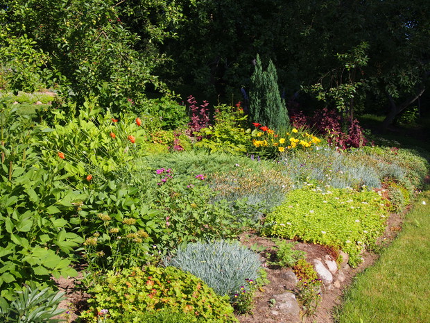 Ogród wychodzący na drogę założono na zboczu o sporym nachyleniu. Rośliny prezentują się wyjątkowo dobrze w takim założeniu i nie muszą walczyć o promienie słoneczne.