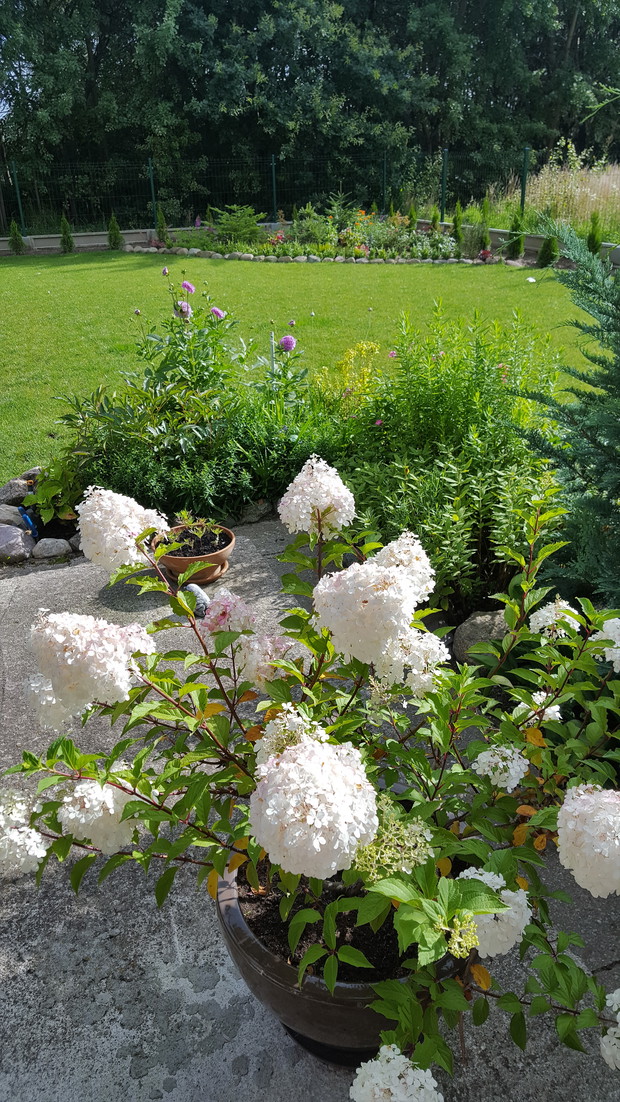 Południowa część ogrodu