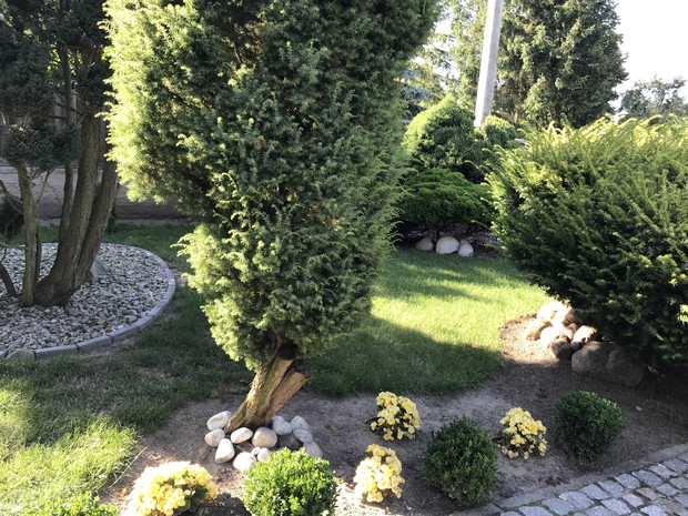 ...przed wejściem do domku