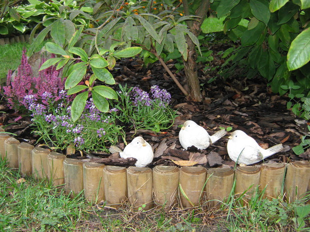 Ptaszki z daleka wyglądają jak żywe.