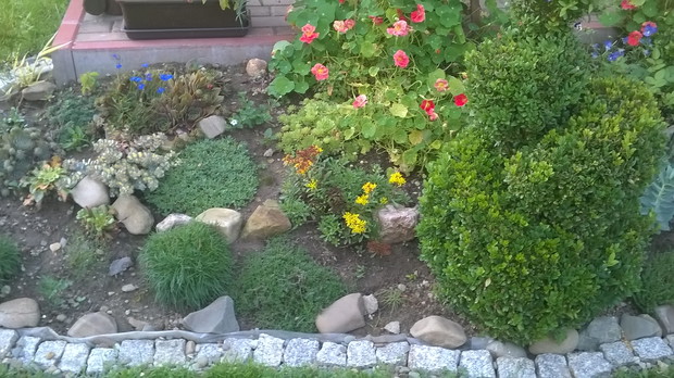 rabata koło huśtawki