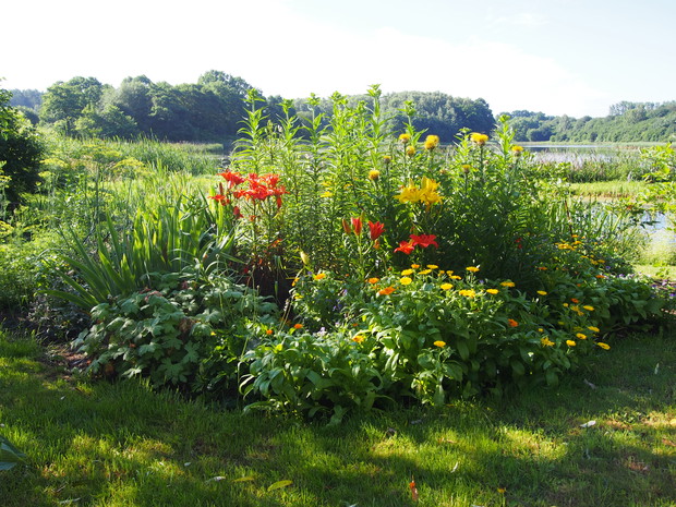 Rośliny ozdobne i krzewy borówki amerykańskiej na tej rabacie stanowią zgraną paczkę i uciechę dla oka.