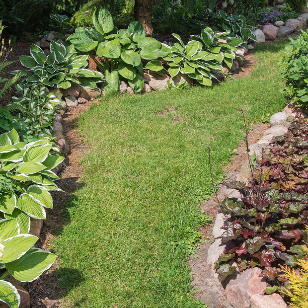 ŚCIEŻKA Z FUNKIAMI I ŹURAWKAMI