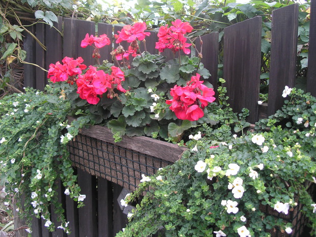 Skrzynki do roślin - pomysł i wykonanie męża Marka