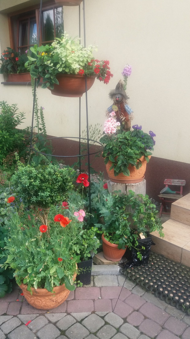 stojaki z kwiatami przy wejściu do domu, zmieniają się w zależności od pory roku