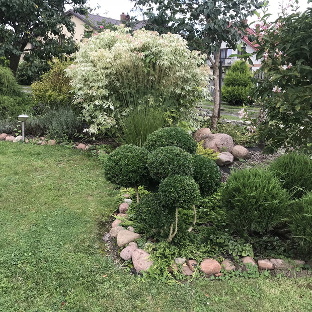 Strzyżenie na rabacie