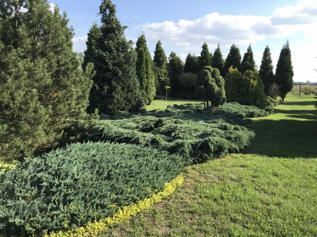 tak wygląda ogród z odległości