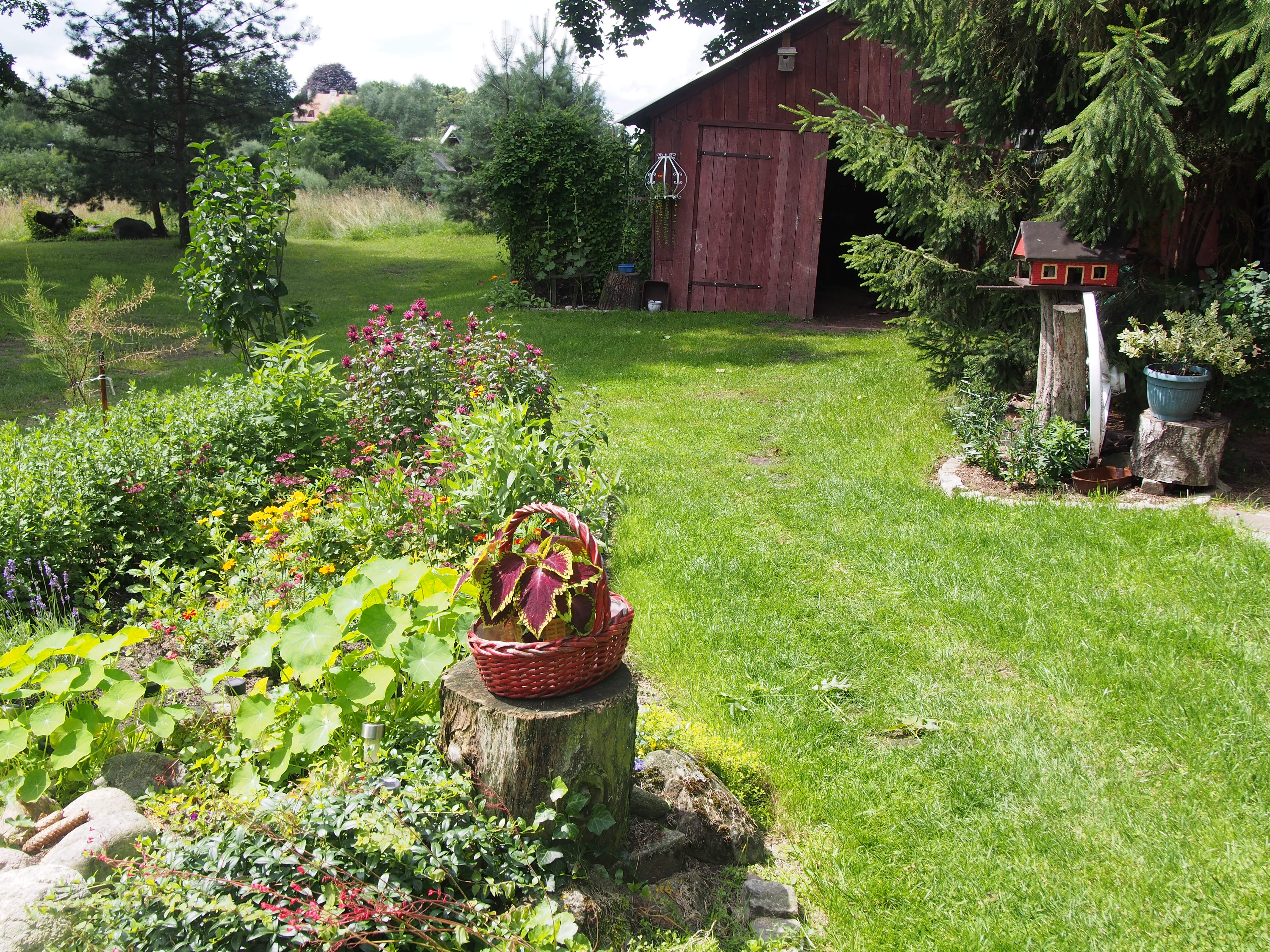 Taki widok rozpościera się z werandy domu Dziadków. W ogrodzie nie brakuje szopy na narzędzia i drewno.