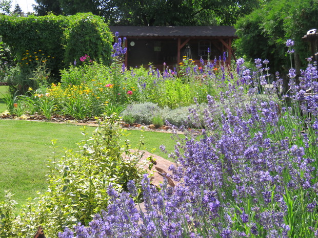 W tym roku mocno lawendowo