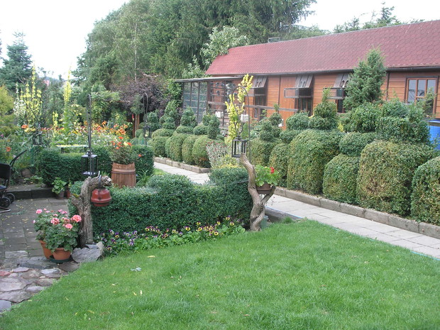 Widok na gołębnik oraz formowane przez męża bukszpany