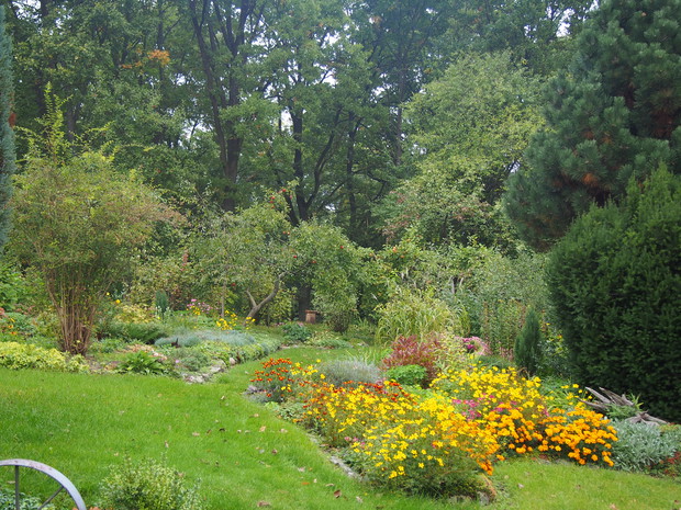 Widok na ogród od strony domu gościnnego, zwanego pieszczotliwie Pieczarą. W tle drzewa owocowe.