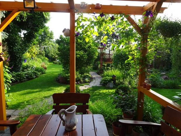Widok z altany na ogród lekko przysłania powojnik, ale to dodaje mu uroku.