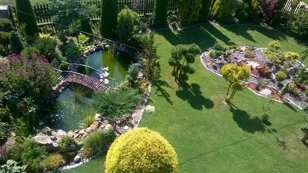 widok z balkonu - przód ogrodu