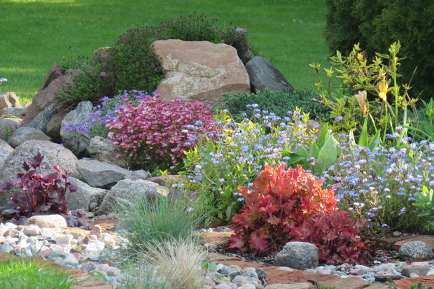 Wiosna na skalniaku.