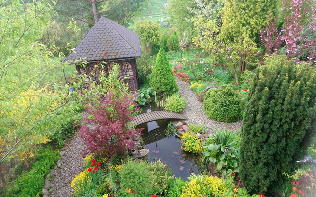 wiosna-widok na ogród