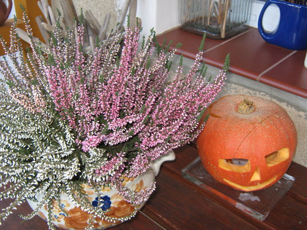 Wrzosy i lampion z dyni.