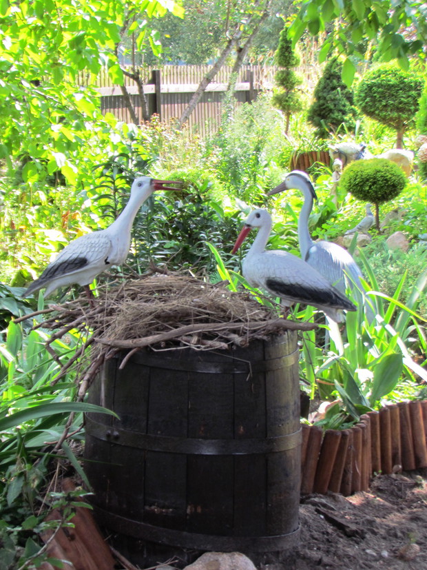 " Zakątek Ptasich Gniazd"