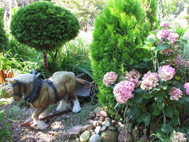 "Zakątek wiecznie zielony"