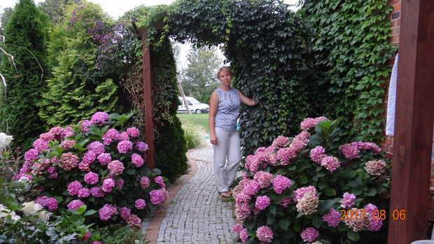 Zapraszam do mojego ogrodu:)