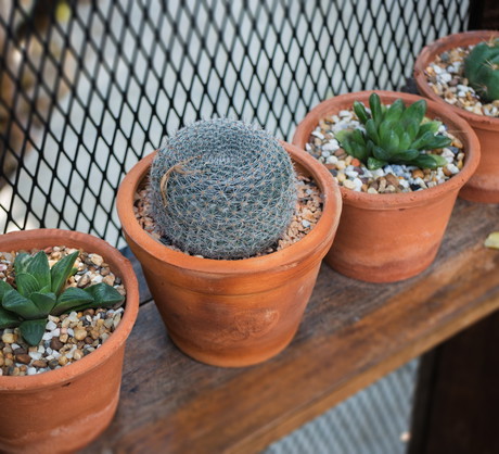 (zdj.: Shutterstock.com)