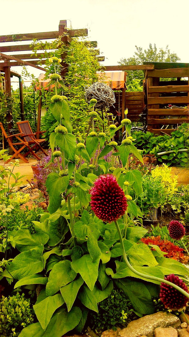 żeleźniak w pełnej krasie