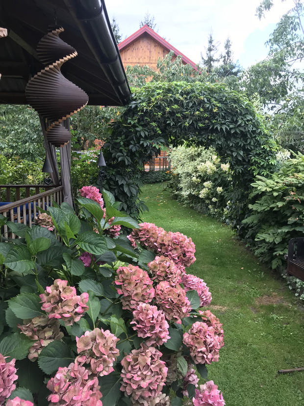 Zielone wejście do ogrodu