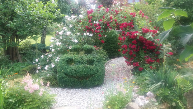 zielony kosmita pilnuje mojego ogrodu