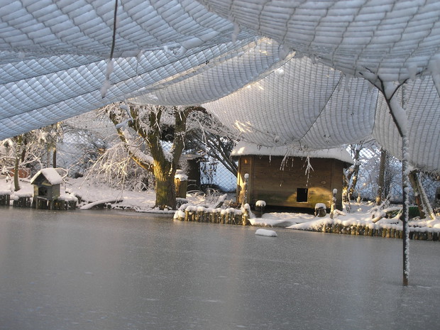 Zima w ogrodzie - siatka nad stawem przysypana śniegiem