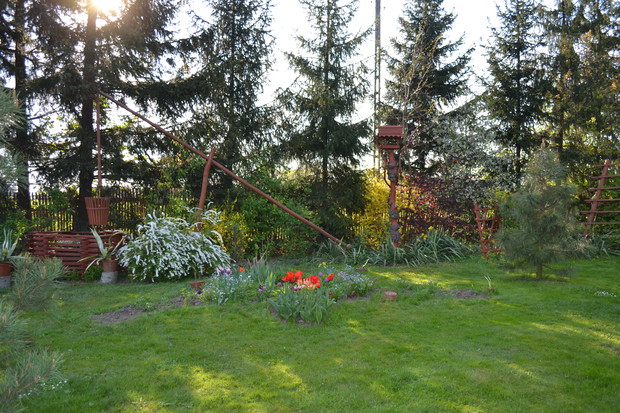 Agawy - strażniczki żurawia.