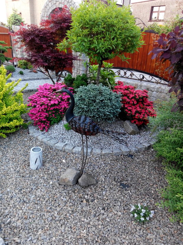 Azalie to najbarwniejsze krzewy późniejszej wiosny!