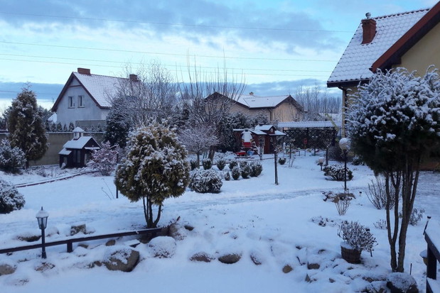 Biały zakątek zimą.