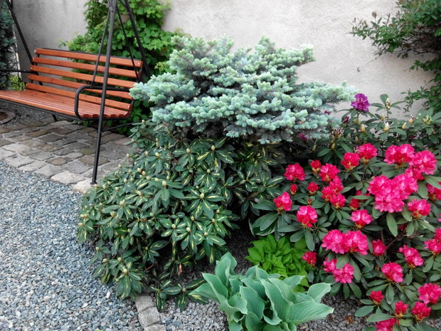 Huśtawka z tyłu domu umila popołudniowy odpoczynek.