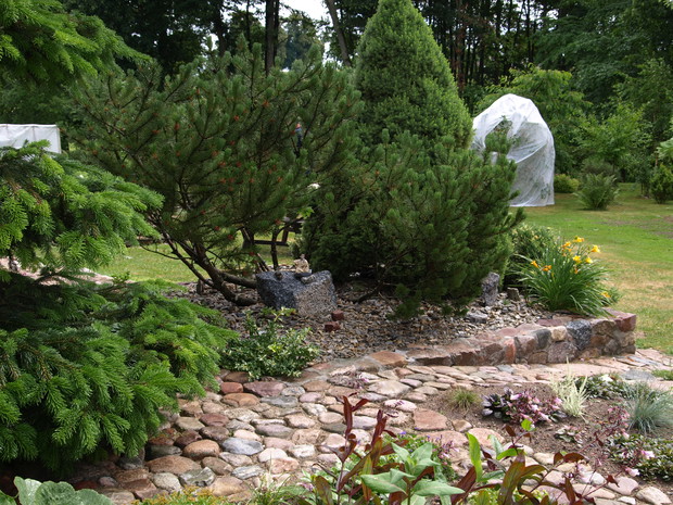 Iglaki w otoczeniu kamiennych ścieżek i murków