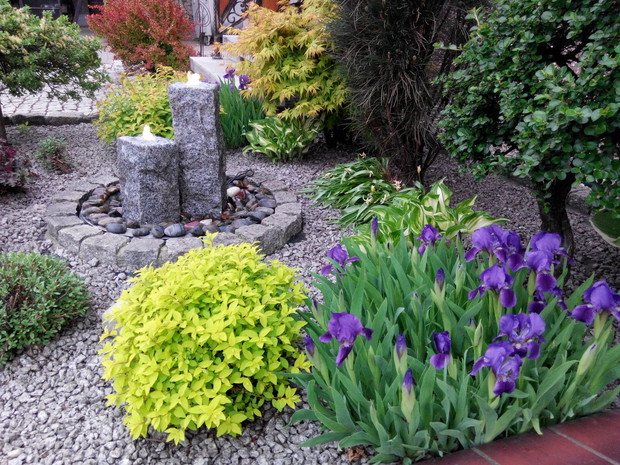 Irysy to kolejne kwiaty wiosny.